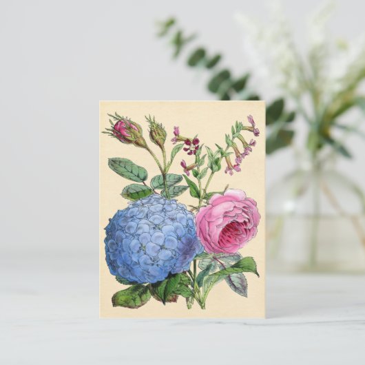 Carte Postale Impression botanique - Hydrangea & Rose (Debout devant)