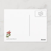 Carte Postale Impression botanique rose rose vintage (Dos)