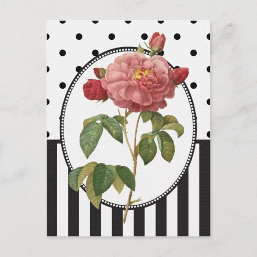 Carte Postale Impression botanique rose rose vintage (Devant)
