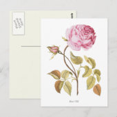 Carte Postale Impression botanique rose vintage (Devant / Derrière)