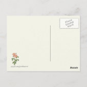 Carte Postale Impression botanique rose vintage (Dos)
