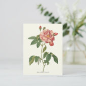 Carte Postale Impression botanique rose vintage (Debout devant)