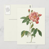 Carte Postale Impression botanique rose vintage (Devant / Derrière)