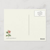 Carte Postale Impression botanique rose vintage (Dos)