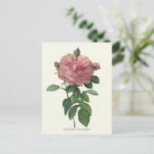 Carte Postale Impression botanique rose vintage (Debout devant)