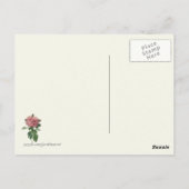 Carte Postale Impression botanique rose vintage (Dos)