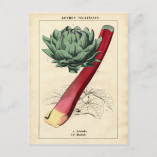 Carte Postale Impression botanique vintage Rhubarb