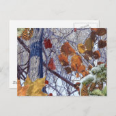 Carte Postale Impression Camion de la première forêt d'hiver de  (Devant / Derrière)