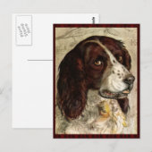 Carte Postale Impression Cocker Spanial Dog (Devant / Derrière)