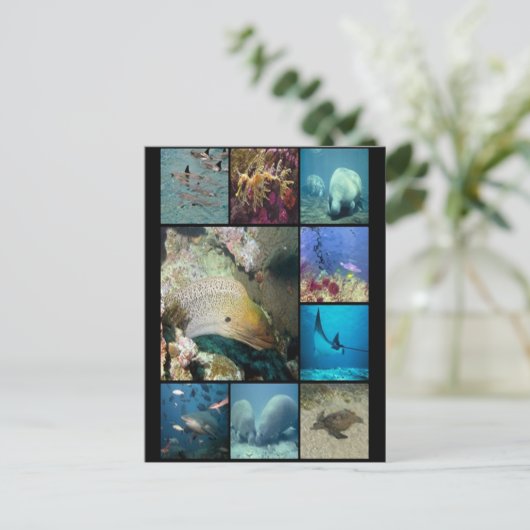 Carte Postale Impression collage des créatures marines (Debout devant)