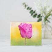 Carte Postale Impression d'art floral de tulipe rose (Debout devant)