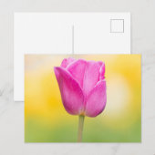 Carte Postale Impression d'art floral de tulipe rose (Devant / Derrière)