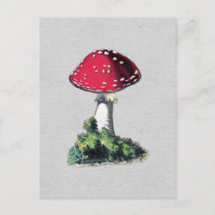 Carte Postale Impression de champignons vintages