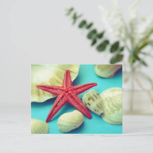 Carte Postale impression de coquille (Debout devant)