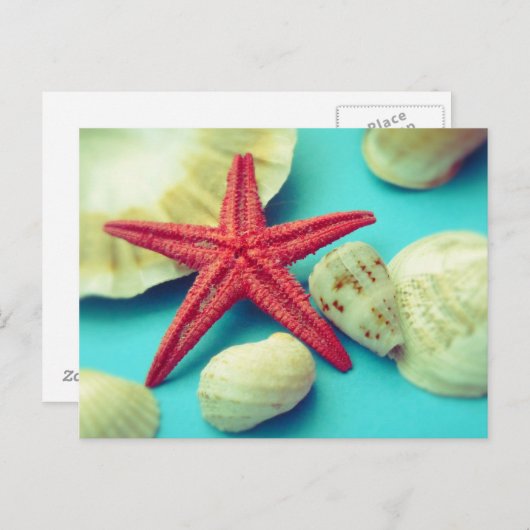 Carte Postale impression de coquille (Devant / Derrière)