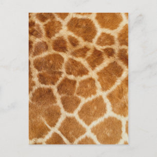 Carte Postale Impression de fourrure de girafe