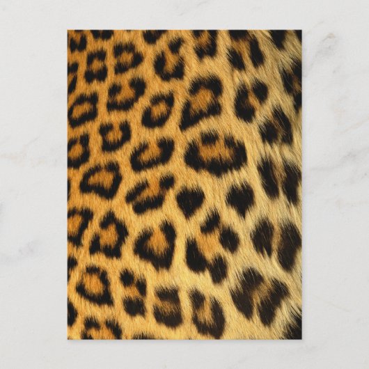 Carte Postale Impression de fourrure Leopard (Devant)