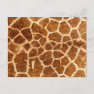 Carte Postale Impression de girafe