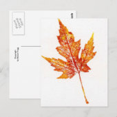 Carte postale Impression de la nature feuille (Devant / Derrière)