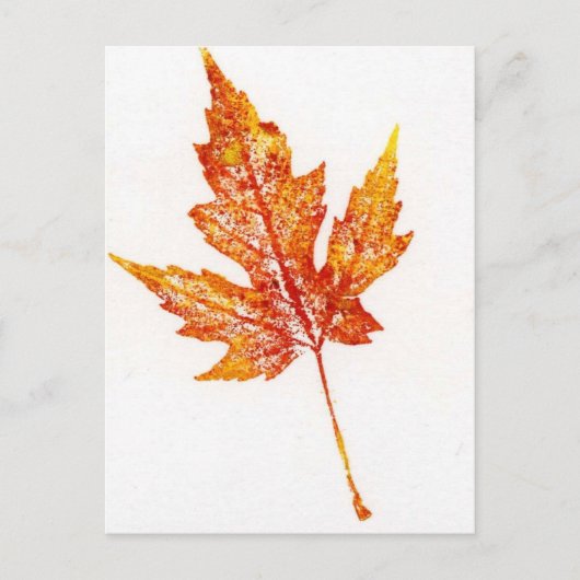 Carte postale Impression de la nature feuille (Devant)