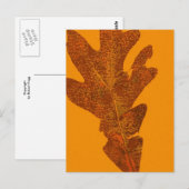 Carte postale Impression de la nature feuille (Devant / Derrière)