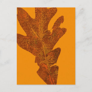 Carte postale Impression de la nature feuille