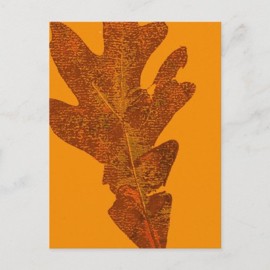 Carte postale Impression de la nature feuille (Devant)