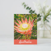 Carte Postale Impression de voyage de Protea (Debout devant)