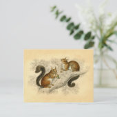 Carte Postale Impression d'écureuil vintage (Debout devant)