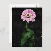 Carte Postale Impression durable (Devant / Derrière)