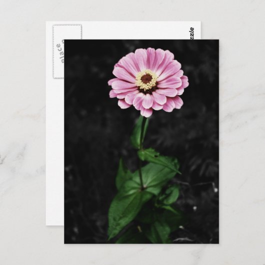 Carte Postale Impression durable (Devant / Derrière)