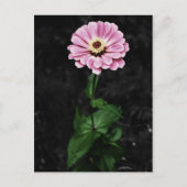 Carte Postale Impression durable (Devant)