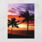 Carte Postale Impression Hawaiian Sunset (Devant)