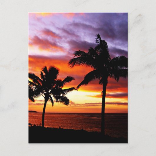 Carte Postale Impression Hawaiian Sunset (Devant)