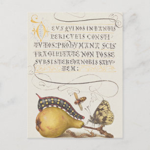 Carte Postale Impression papillon de calligraphie chic vintage