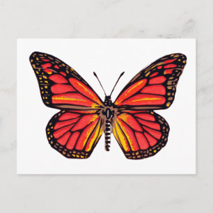 Carte Postale Impression papillon vintage