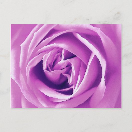 Carte Postale Impression rose lavande (Devant)