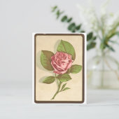 Carte Postale Impression Rose vintage (Debout devant)