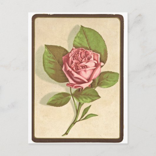 Carte Postale Impression Rose vintage (Devant)