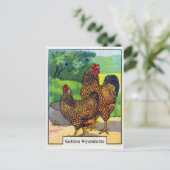 Carte Postale Impression vintage de poulet (Debout devant)