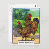 Carte Postale Impression vintage de poulet (Devant / Derrière)