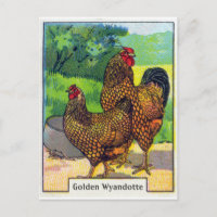 Impression vintage de poulet
