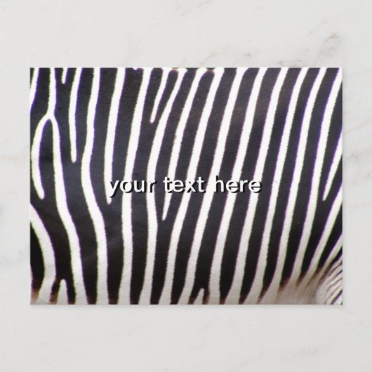 Carte Postale Impression Zebra (Devant)