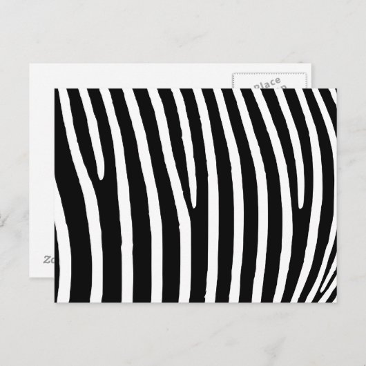 Carte Postale Impression Zebra (Devant / Derrière)