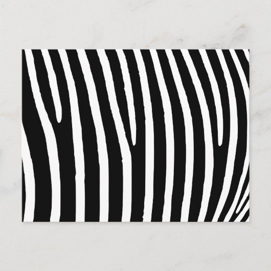 Carte Postale Impression Zebra (Devant)