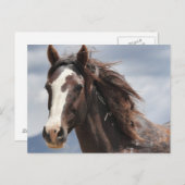 Carte Postale Impressionnant (Devant / Derrière)