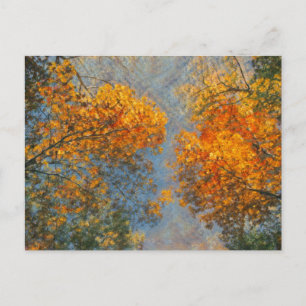 Carte Postale Impressionnisme d'automne