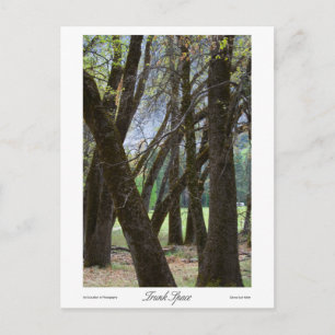Carte Postale Impressions de l'espace du coffre