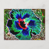 Carte Postale Impressions hébiscites hawaïennes améliorées numér (Devant)