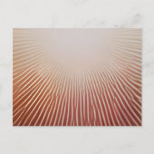 Carte Postale Impressions photos (Devant)